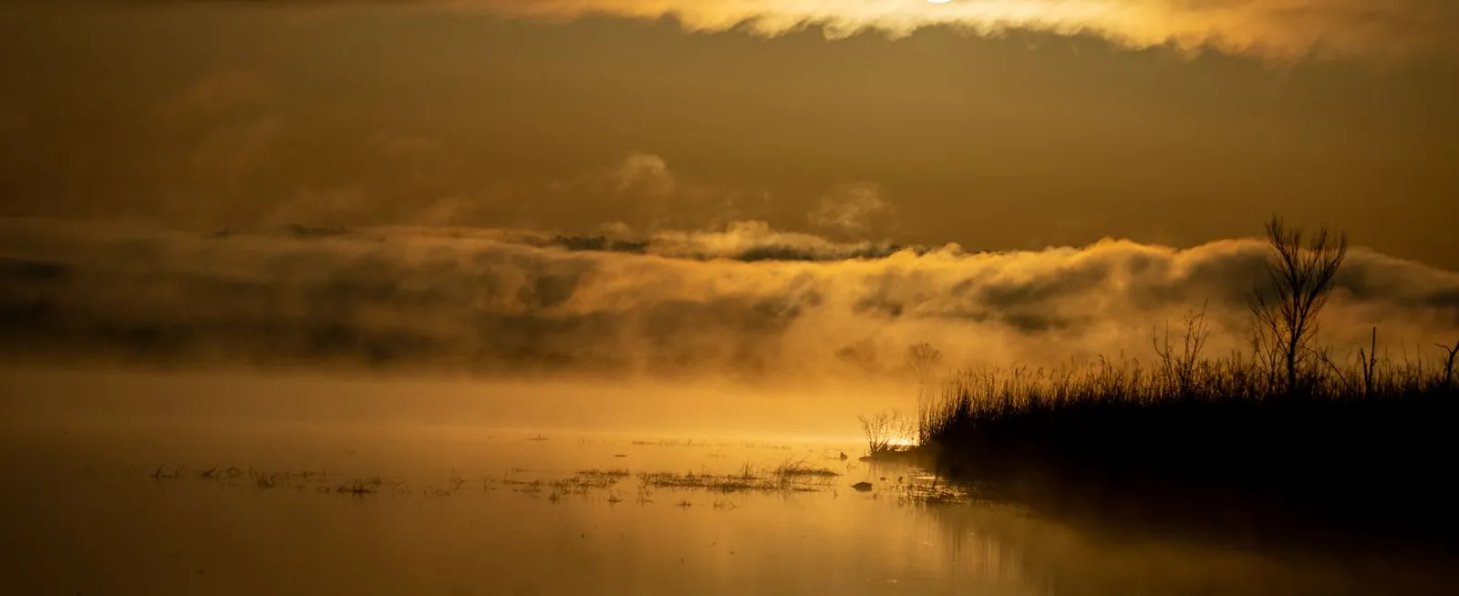 Golden morning light across a quiet marsh