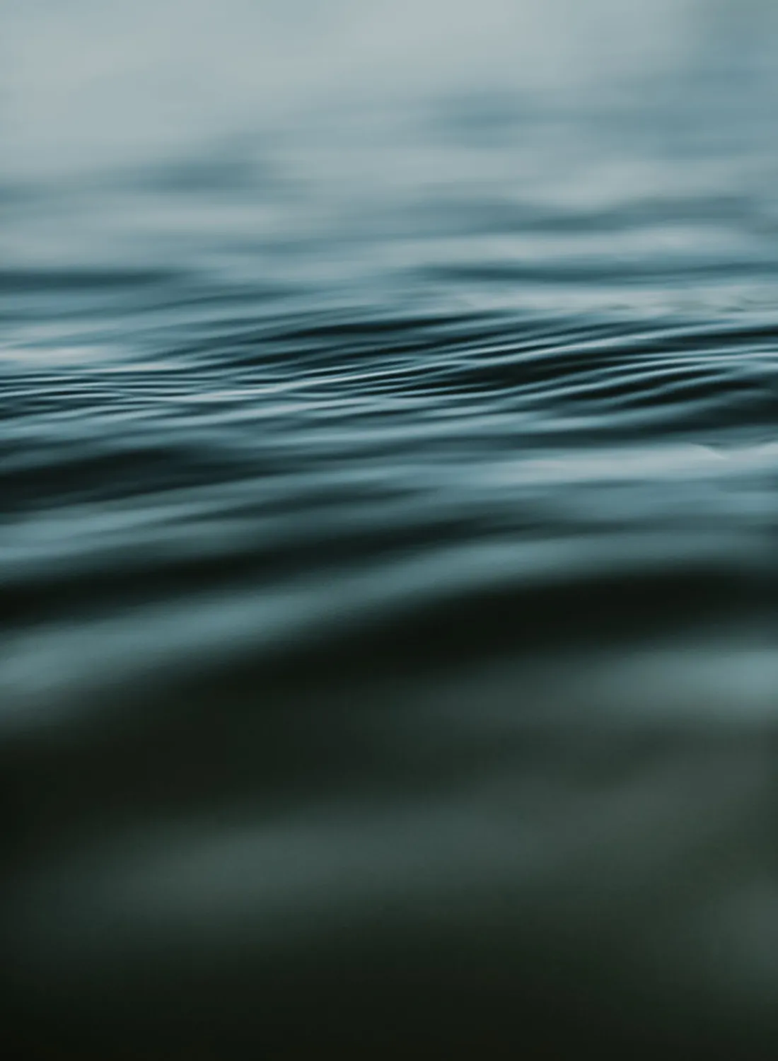 The soft, dark surface of still water